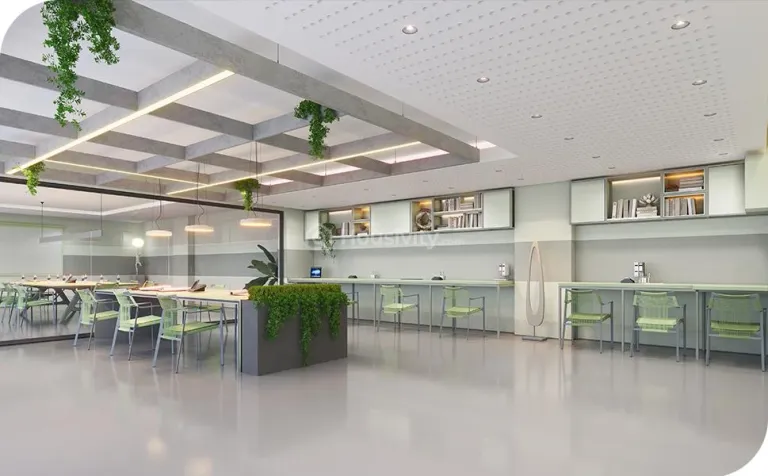 Survi Pristine Image 8