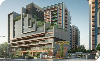 Survi Pristine Image 14