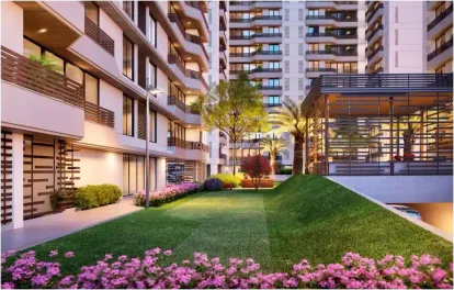 Lilleria 162 Image 7