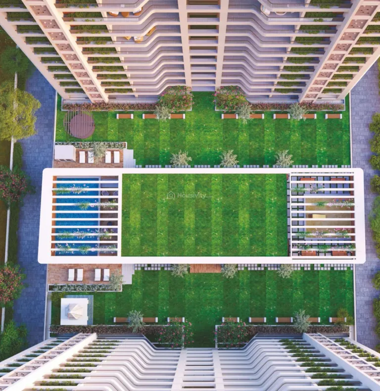 Kasper Genesis Image 7