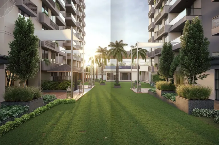 The Solitaire Image 6