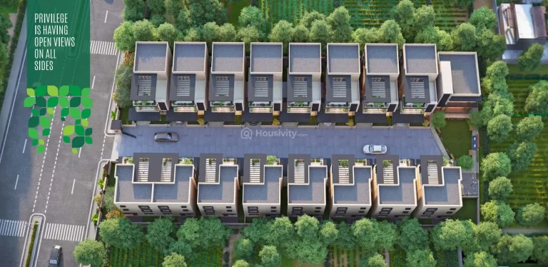 Green Leaf 16 Image 4