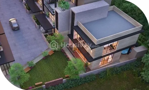 Green Leaf 16 Image 5