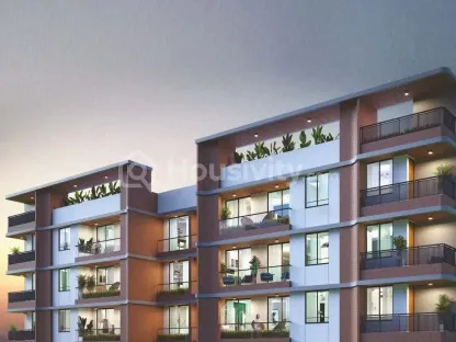 Orchid Luxuria Image 6