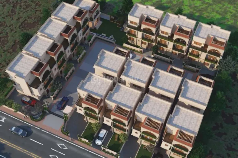 Broadleaf 15 Image 4