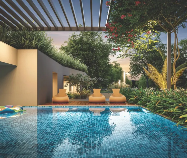 Safalya Panorama Image 5