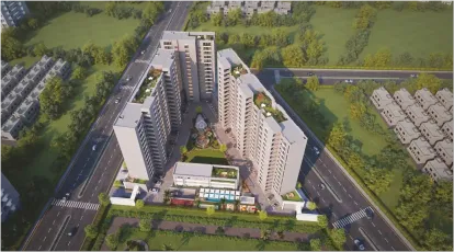 Shree Siddheshwar Hollyhock Image 12