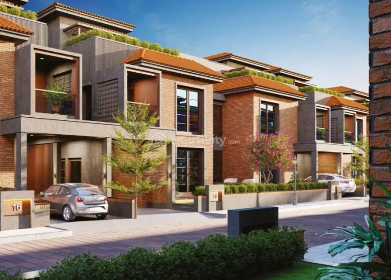 Springs County 3 Image 3