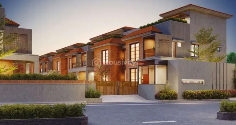 Springs County 3 Image 4