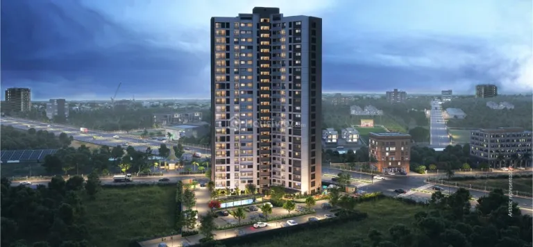 Alembic Kiara Image 7