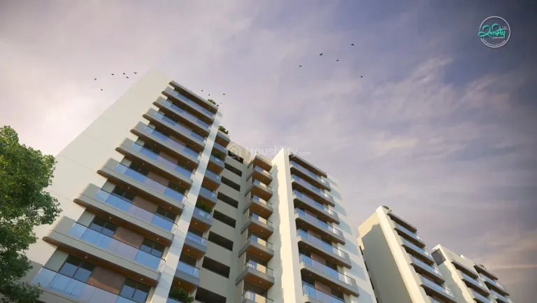 Sanidhya Aster Thumbnail