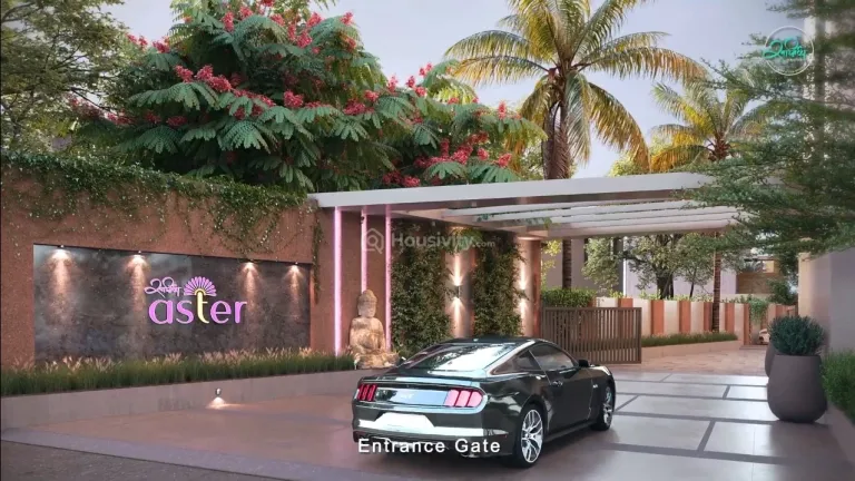 Sanidhya Aster Image 3