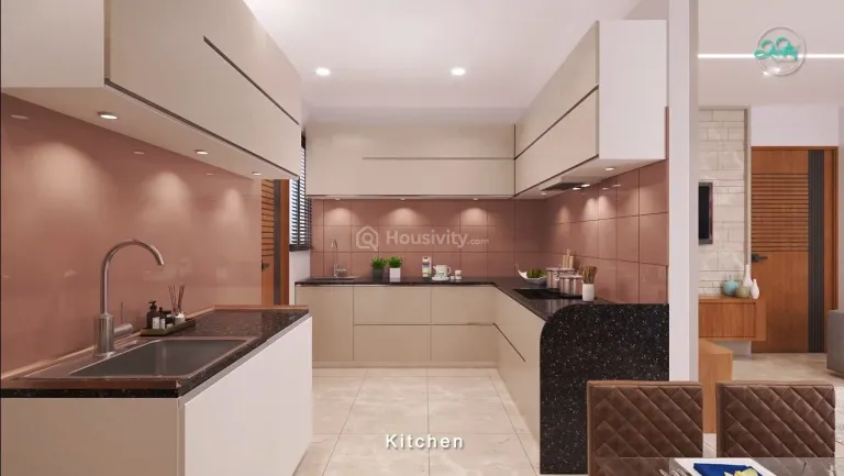 Sanidhya Aster Image 7