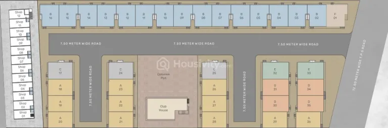 Spring Woods Image 4