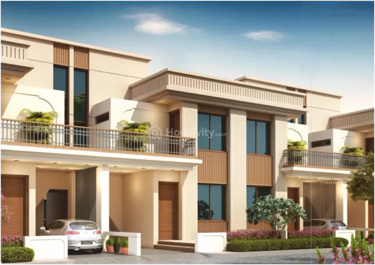 Siddhi Solitaire Image 2