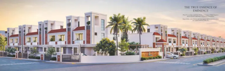 Kanha Palm 63 Image 1