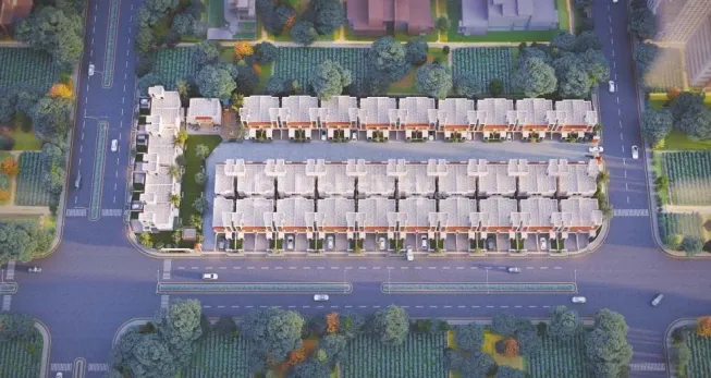 Kanha Palm 63 Image 2