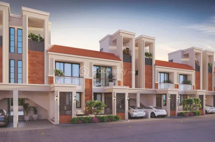 Kanha Palm 63 Image 3