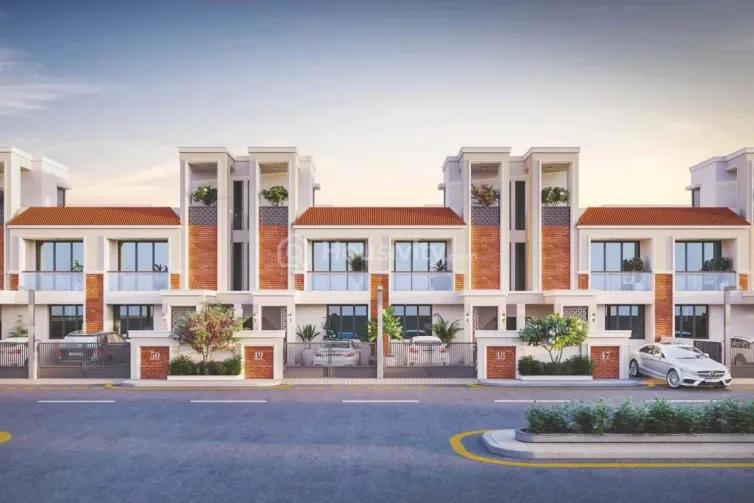 Kanha Palm 63 Image 4