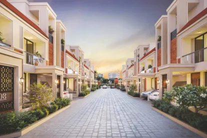 Kanha Palm 63 Image 5