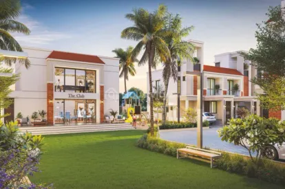 Kanha Palm 63 Image 6