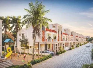 Kanha Palm 63 Image 8