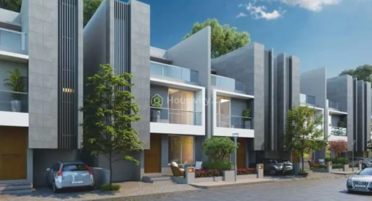 KD Millennia Image 4