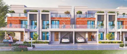 Palm Paradise Image 5