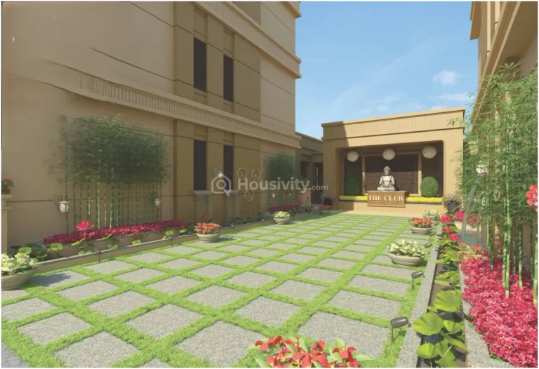 Serene County Image 6