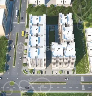 Friends AL Hatim Image 4