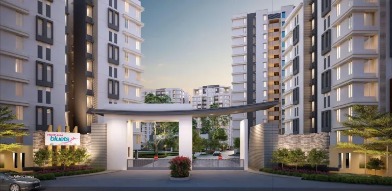 Pratham Bluets Image 3