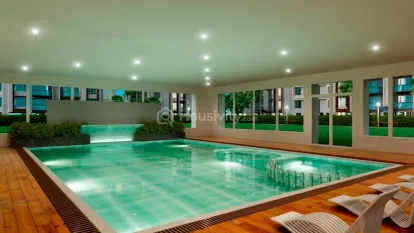 Pratham Bluets Image 8