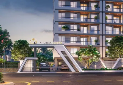 Caladium Green Image 1