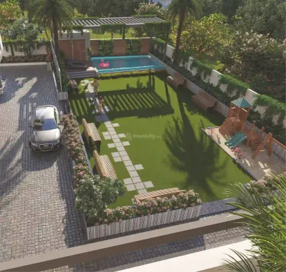 Caladium Green Image 5