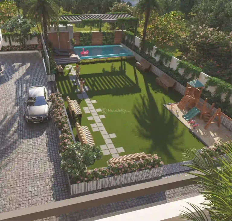 Caladium Green Image 5