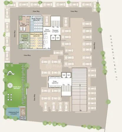 Caladium Green Image 6