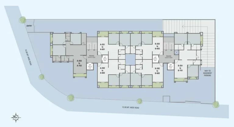 Tulsi Darshan Image 4