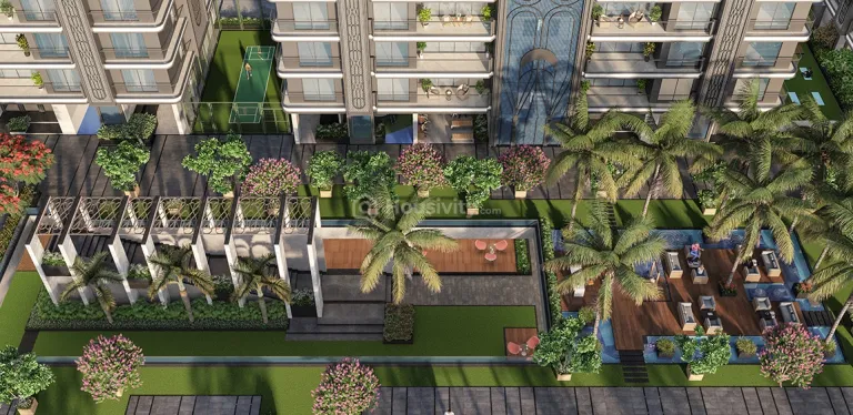 Rajhans Kronis Image 8