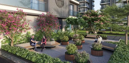 Rajhans Kronis Image 12