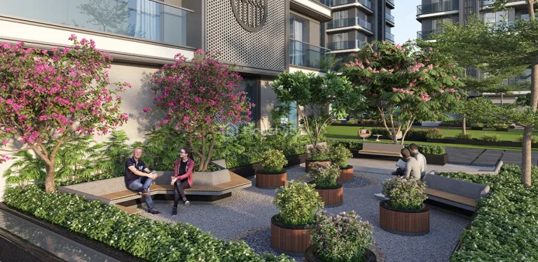 Rajhans Kronis Image 12