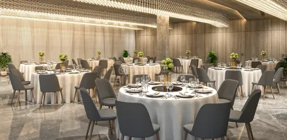 Rajhans Corazo Image 15