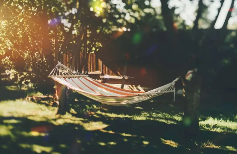 Pramukh Vivanta Image 11