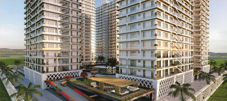 Surya Signature Image 5