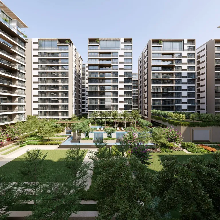 Avadh Ercole Thumbnail