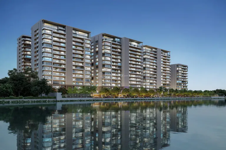 Avadh Classima Image 4