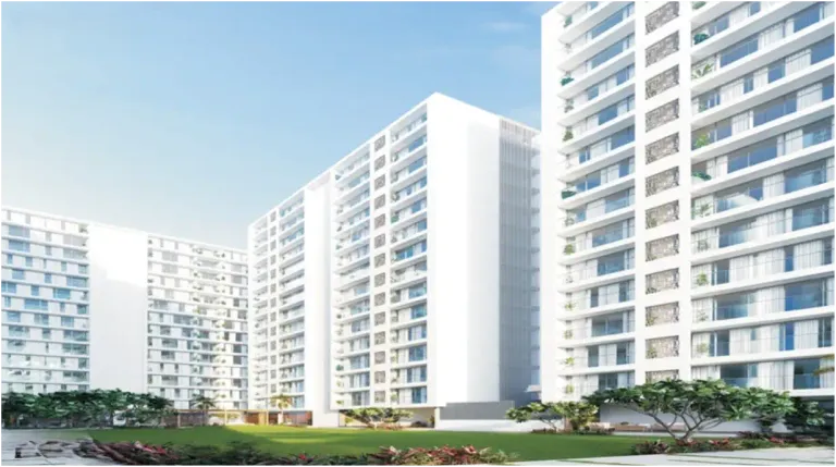 Atmosphere Green Image 3