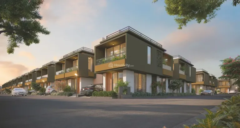 Samarthya Salister Thumbnail