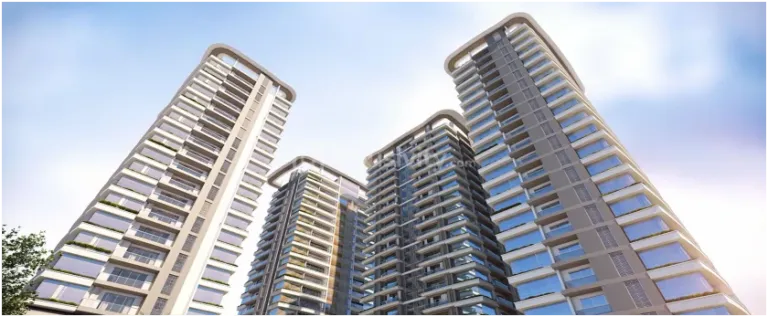 Savan Superia Image 13