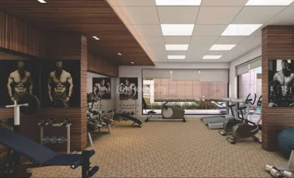 The Evolution Image 10