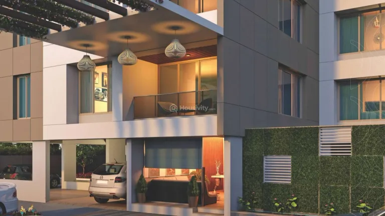 The Evolution Image 4